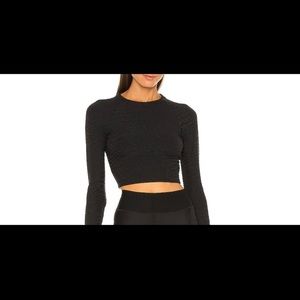 Caiman Crocodile 3D Crop Top in Jet Black
